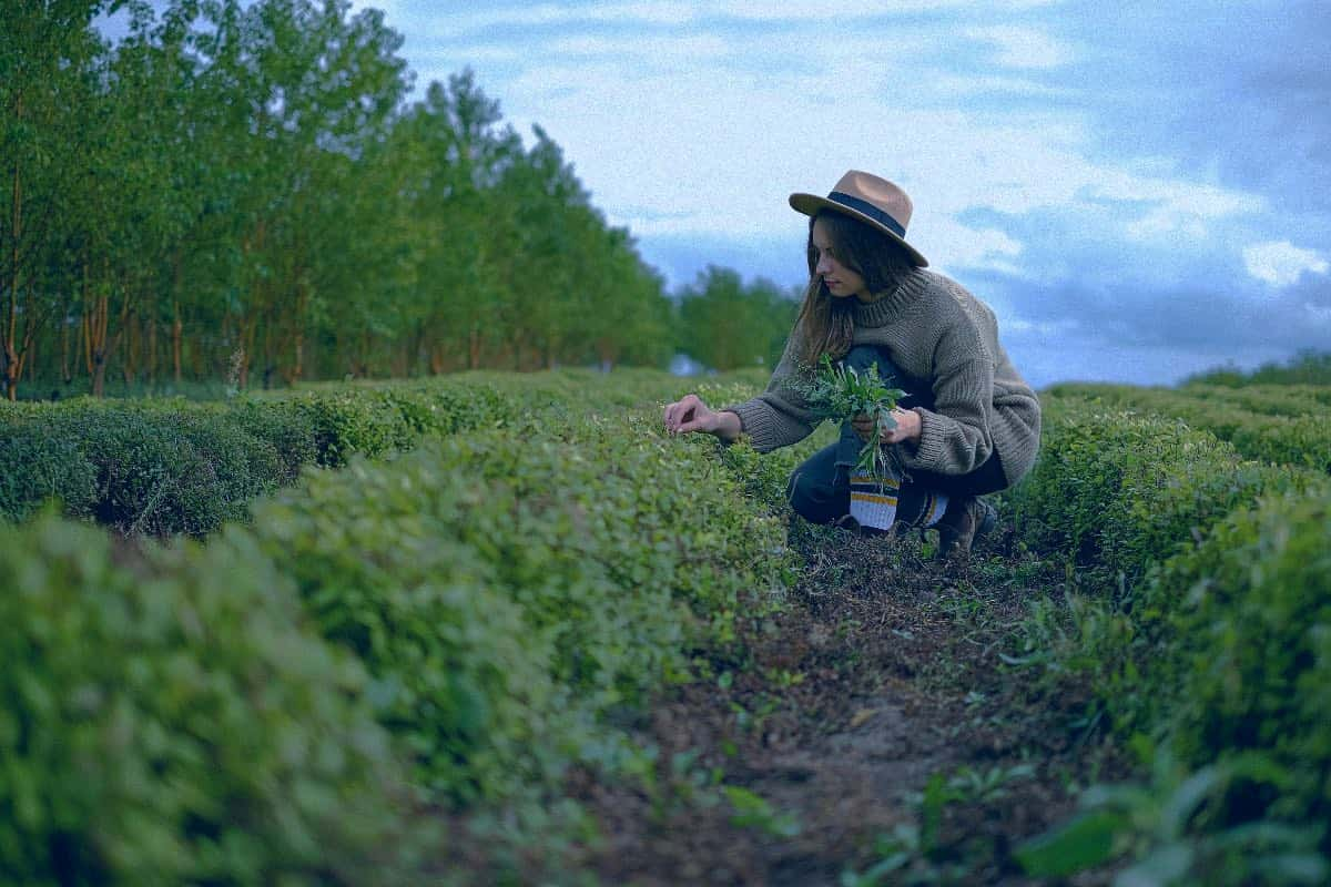 O que é e como funciona a aposentadoria rural?