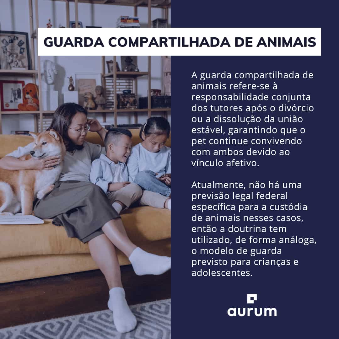 Como funciona a guarda compartilhada de animais?